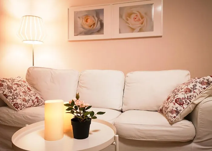 Filinhome Supljikca * Novi Sad